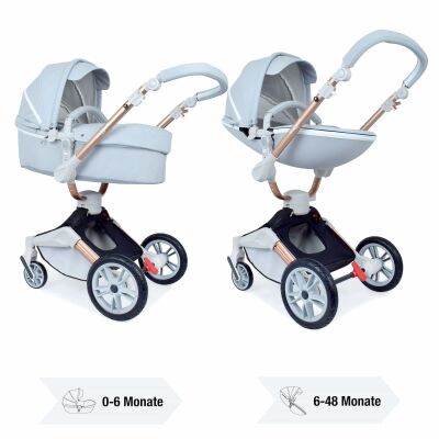 Daliya® TURNIYO 2in1 Kinderwagen 360°drehbar (Grau)