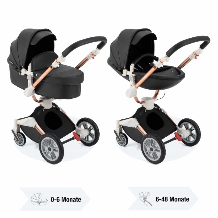 Daliya® TURNIYO 2in1 Kinderwagen 360°drehbar...